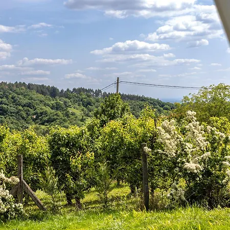 Gora 3 * Vrdnik